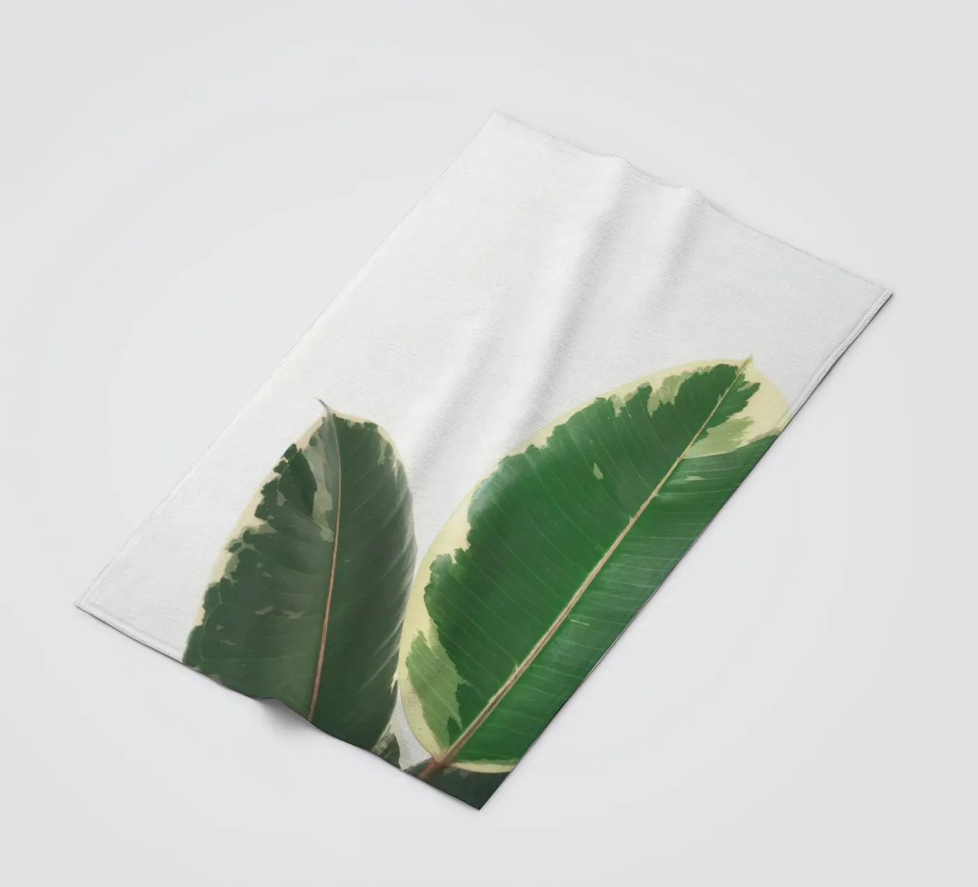 Studio delle foglie coperta in pile da Cassia Beck Photography