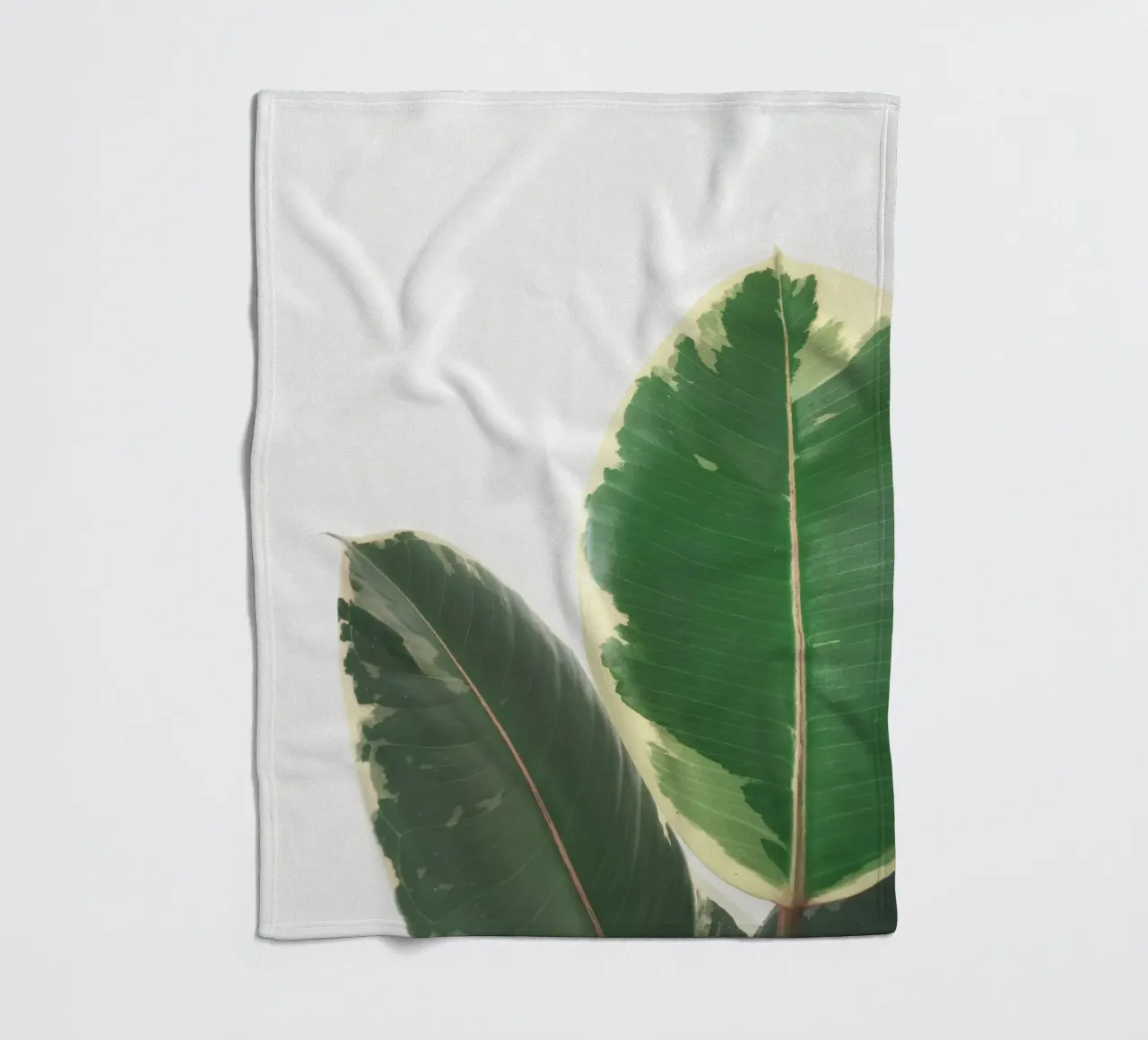 Bladstudie fleecedeken van Cassia Beck Photography