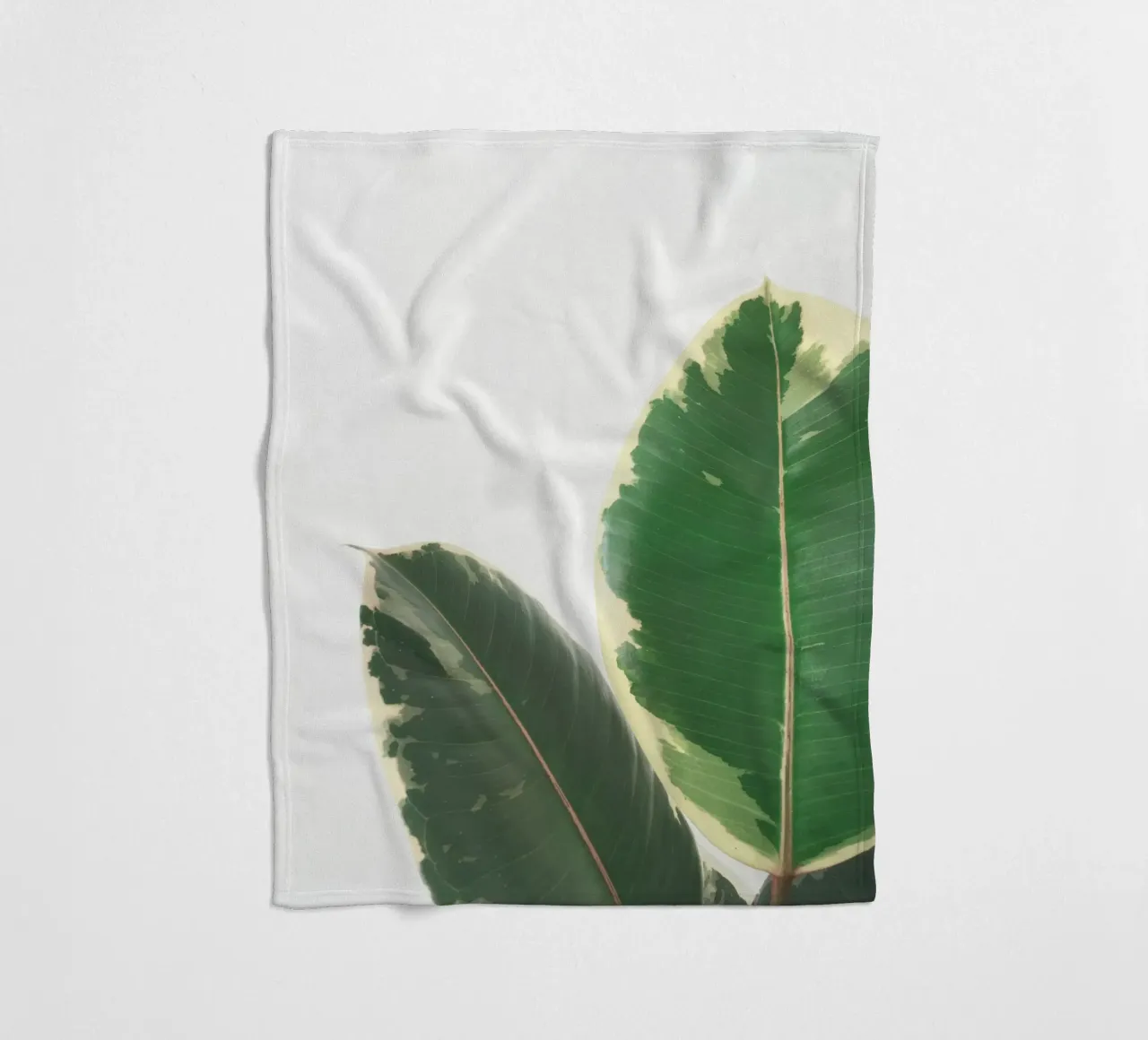 Bladstudie fleecedeken van Cassia Beck Photography