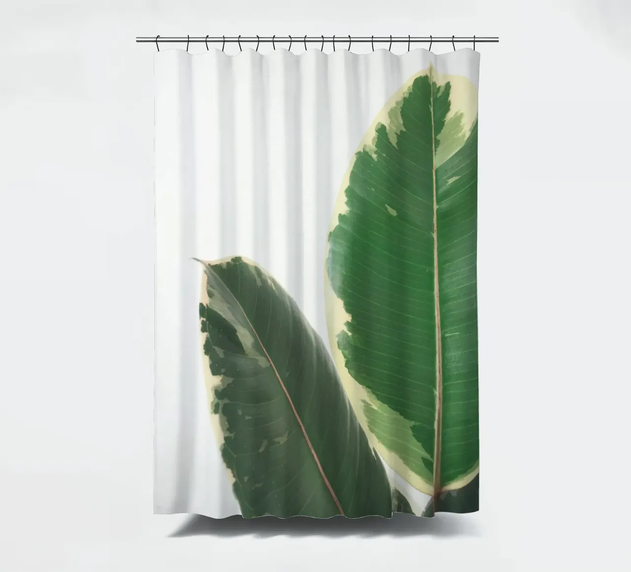 Blatt-Studie Duschvorhang von Cassia Beck Photography