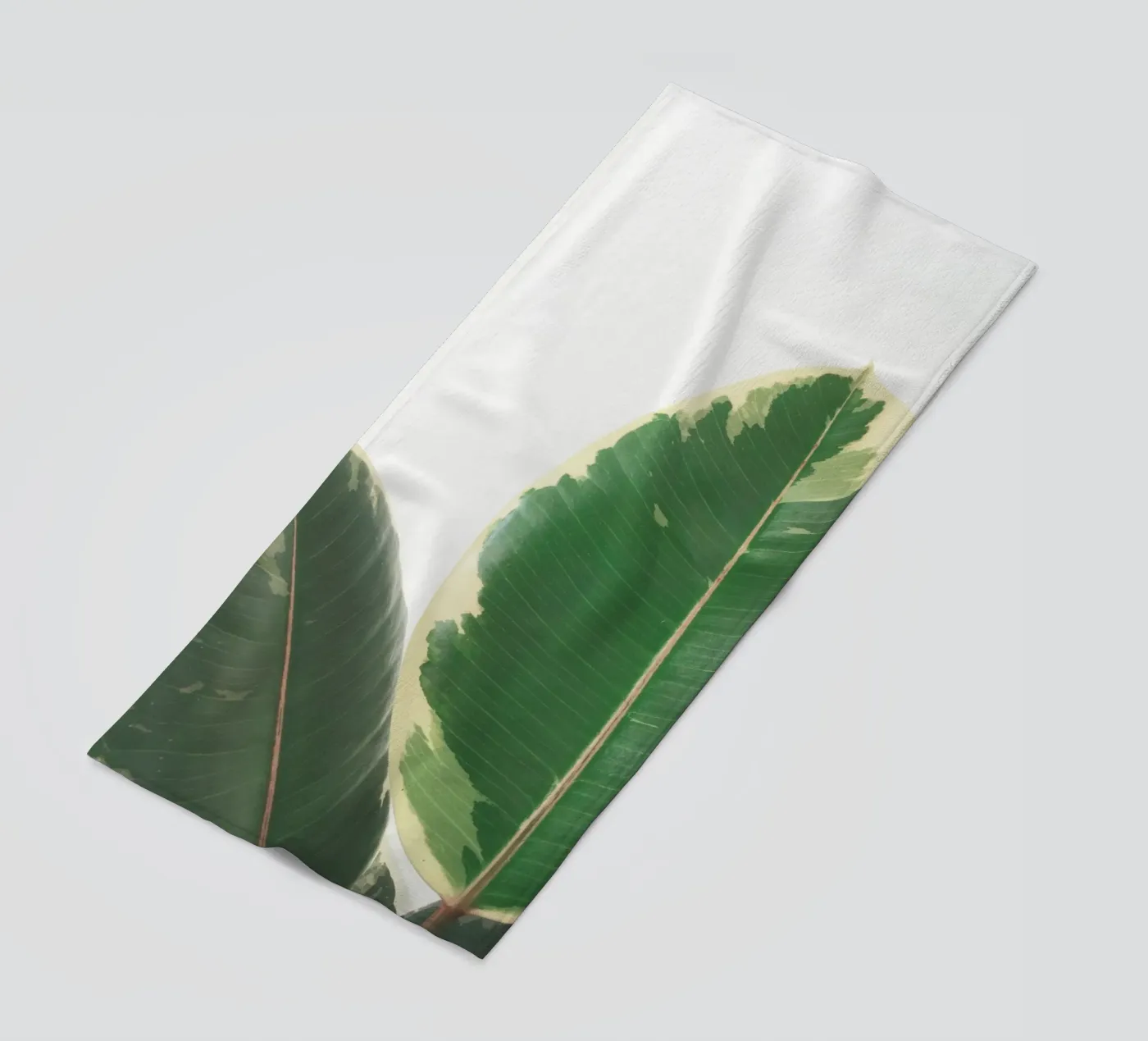 Leaf Study telo mare da Cassia Beck Photography