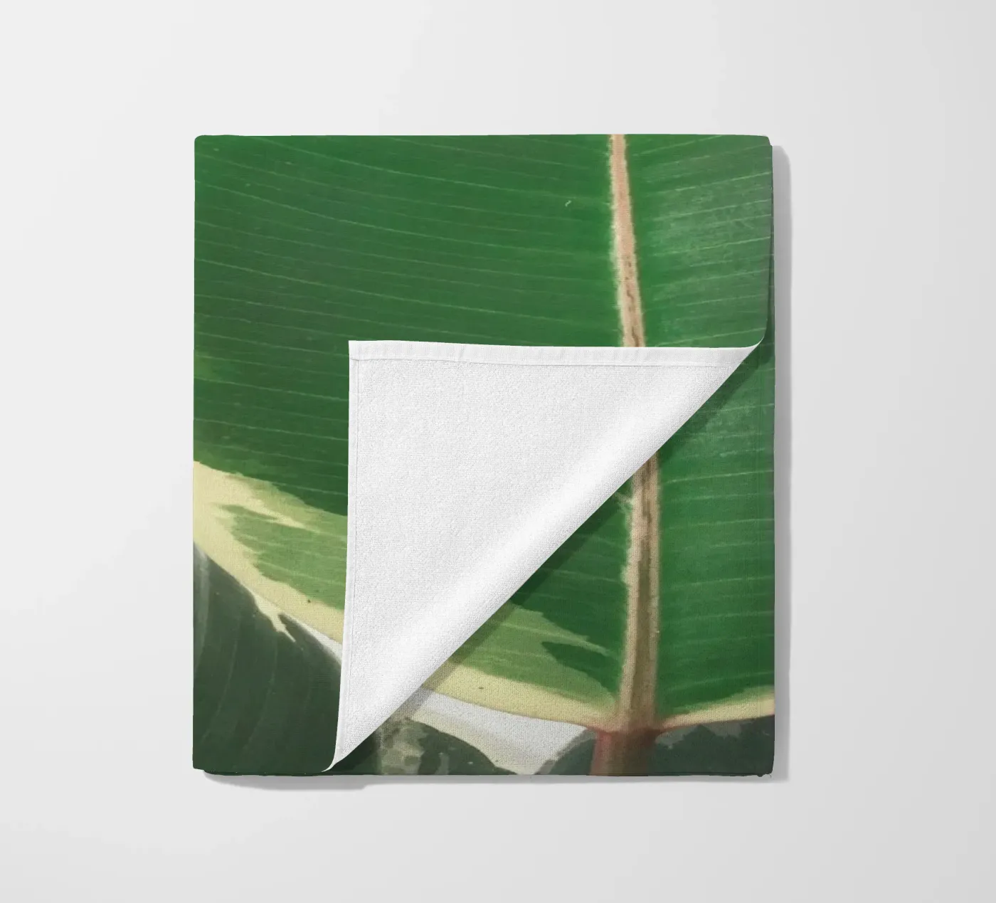 Leaf Study telo mare da Cassia Beck Photography