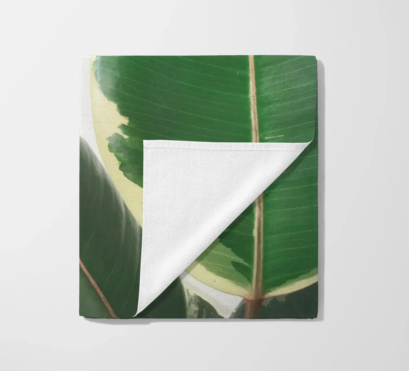 Leaf Study telo mare da Cassia Beck Photography