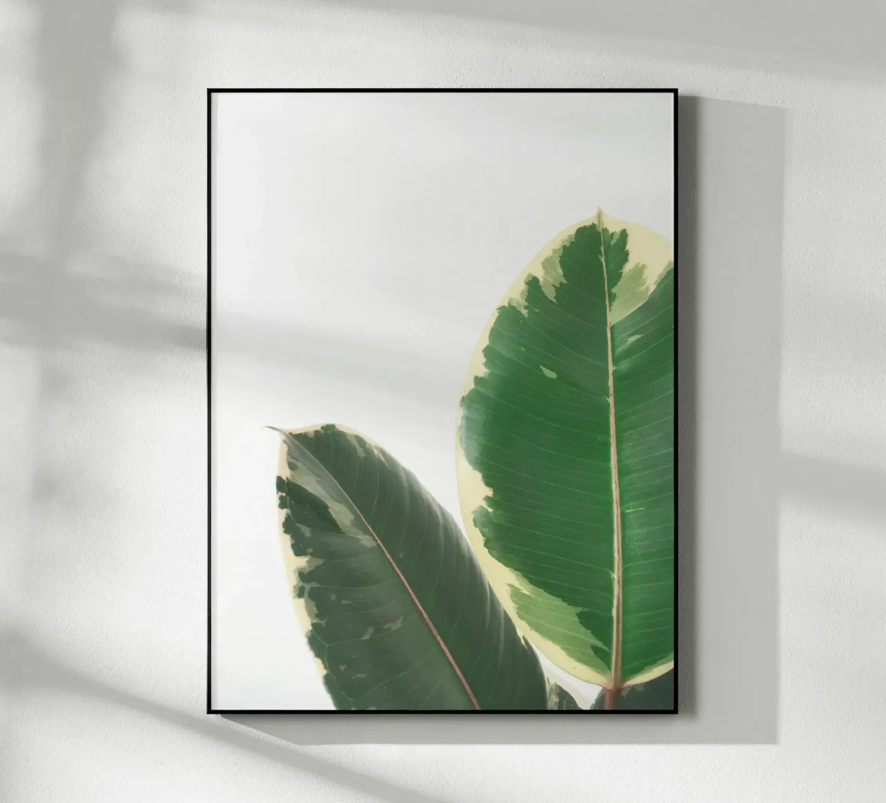 Leaf Study plexiglas de Cassia Beck Photography