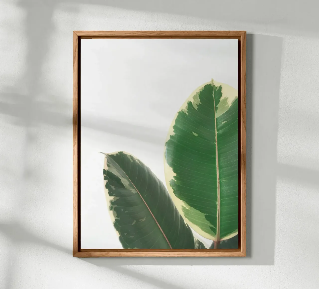 Leaf Study forex plate by Cassia Beck Photography