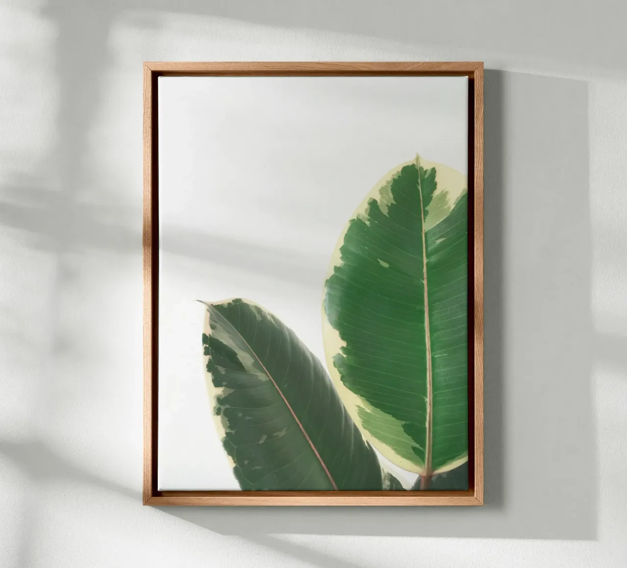 Leaf Study canvas by Cassia Beck Photography