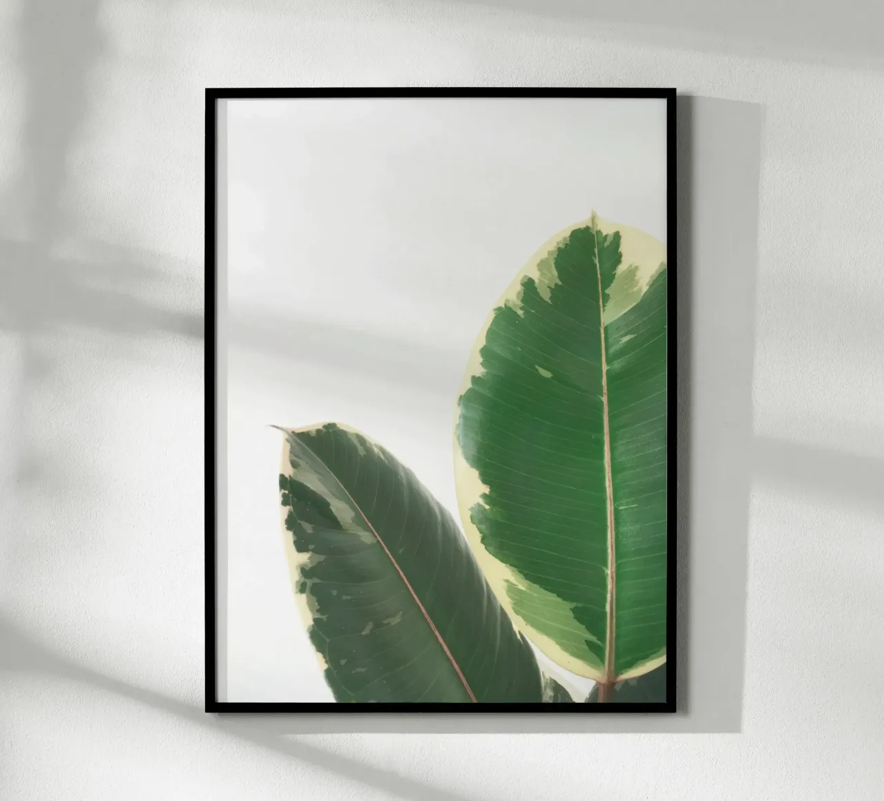 Leaf Study poster by Cassia Beck Photography