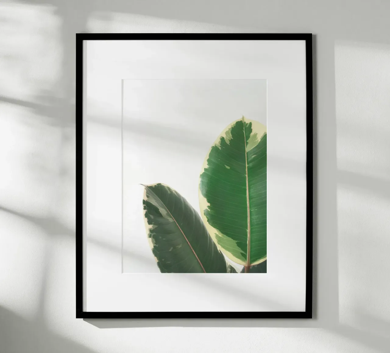 Leaf Study poster by Cassia Beck Photography