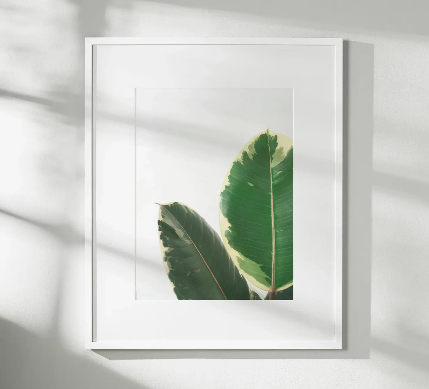 Leaf Study poster de Cassia Beck Photography