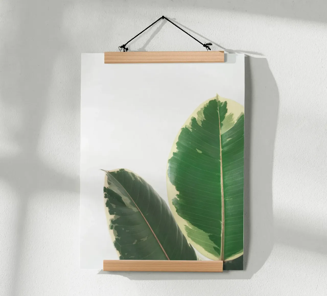 Leaf Study poster by Cassia Beck Photography