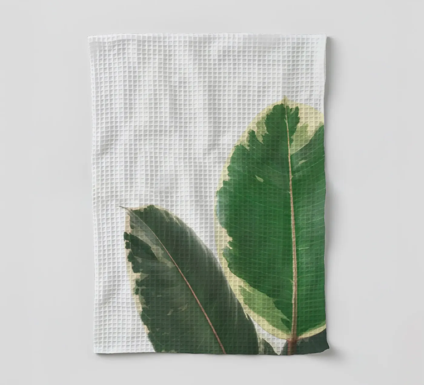 Studio delle foglie canovaccio da cucina da Cassia Beck Photography