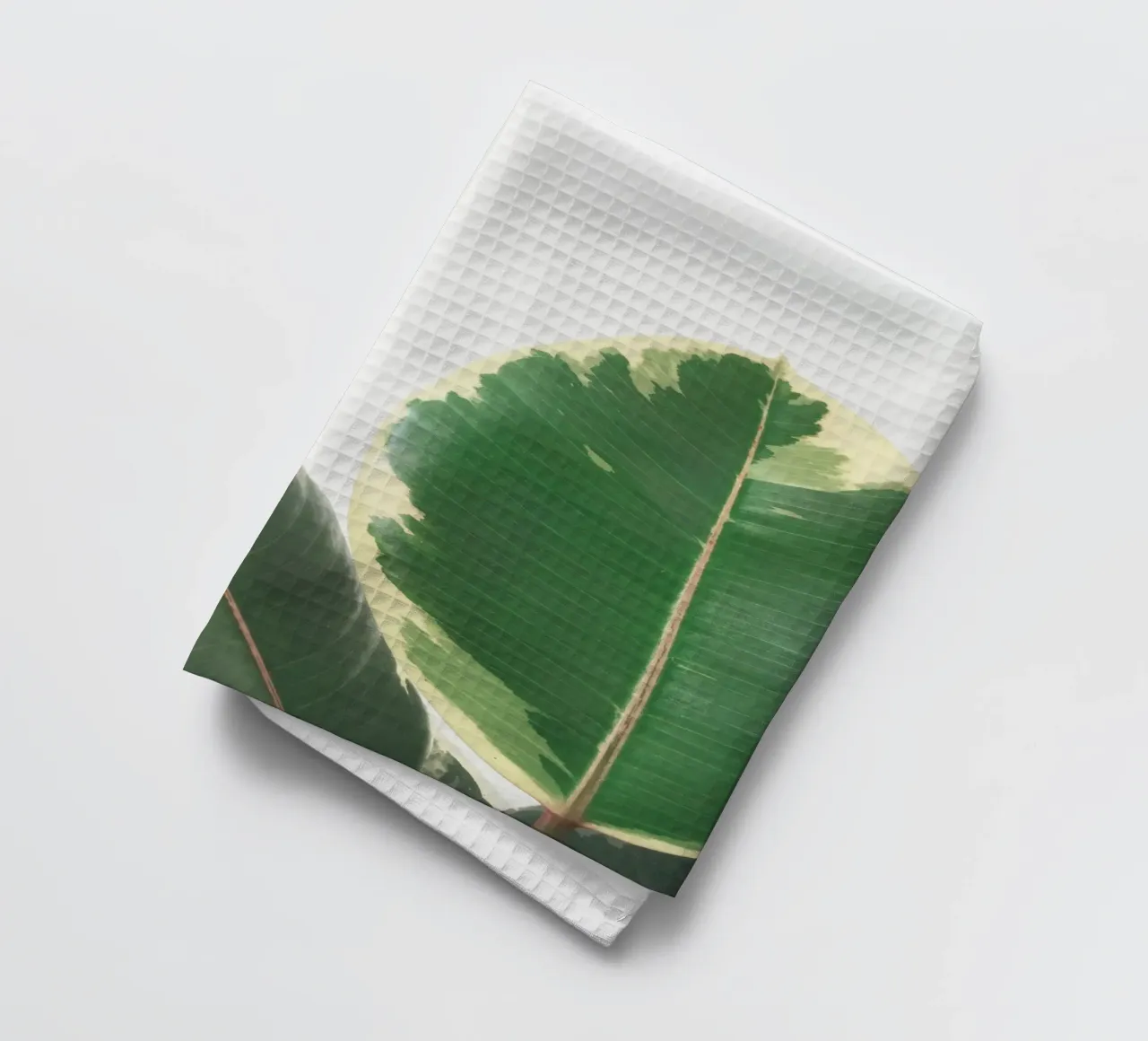 Leaf Study tea towel by Cassia Beck Photography