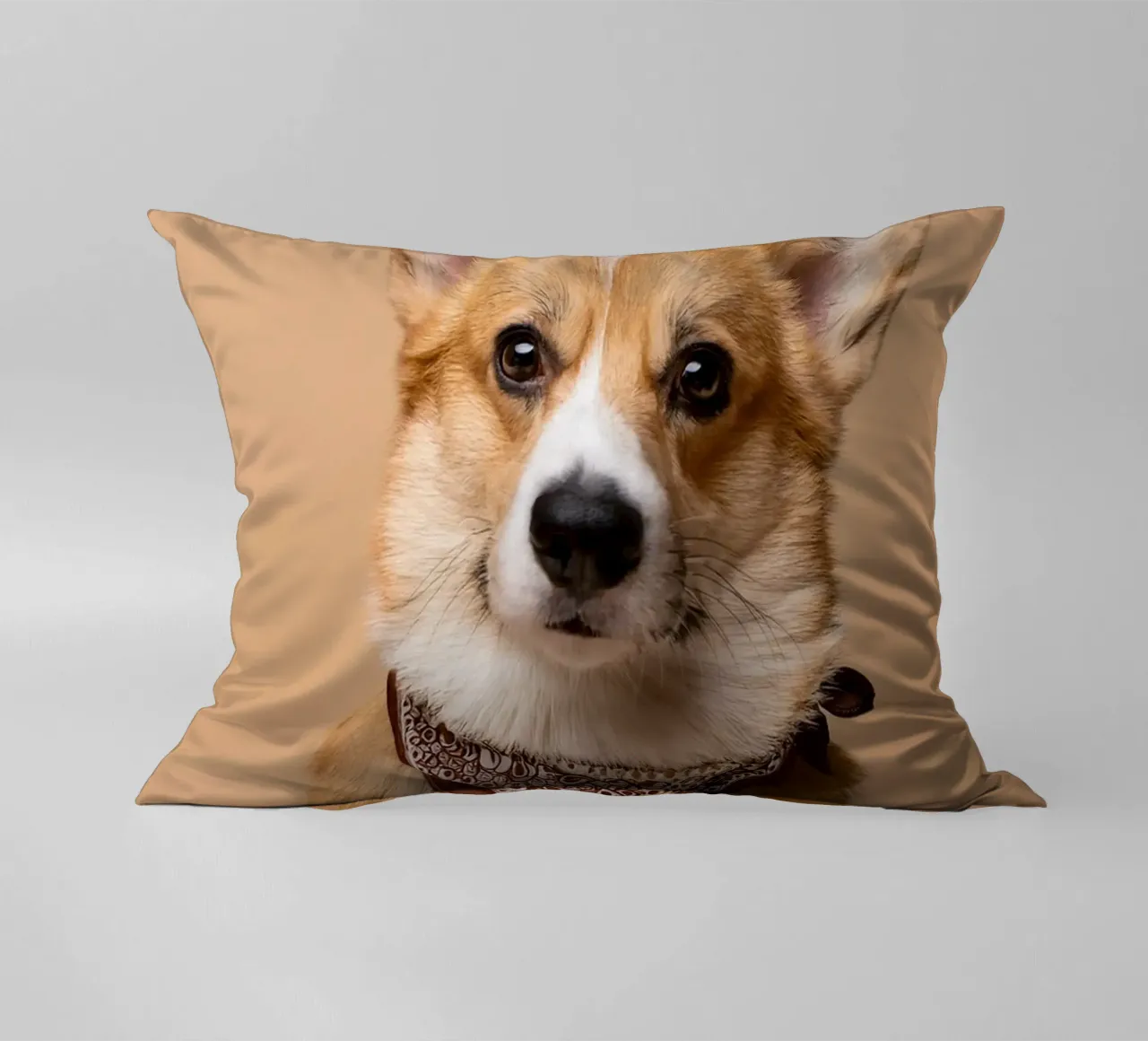 Affascinante Corgi con una bandana alla moda | Adorabile ritratto di cane cuscino da FlexiDesignsByK