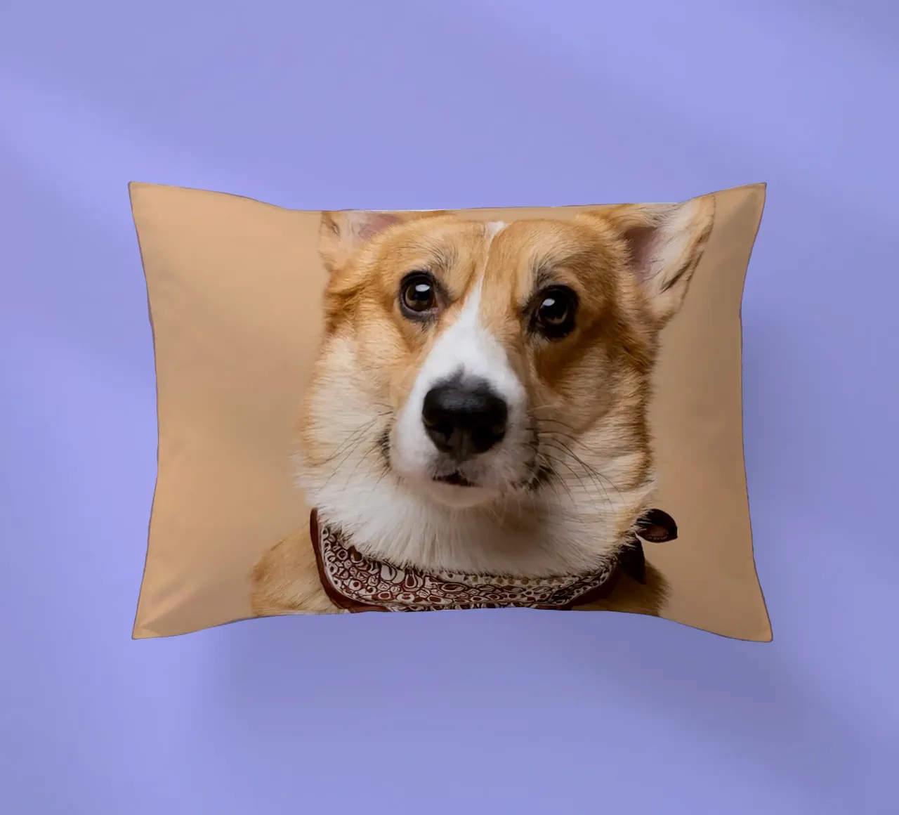 Affascinante Corgi con una bandana alla moda | Adorabile ritratto di cane cuscino da FlexiDesignsByK