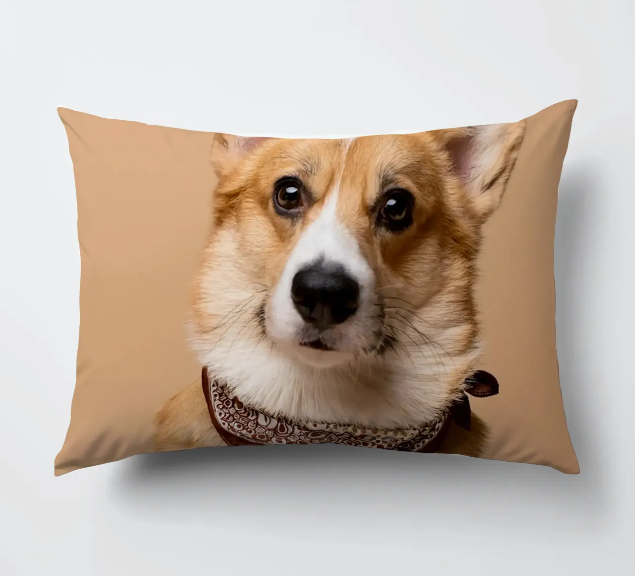Affascinante Corgi con una bandana alla moda | Adorabile ritratto di cane cuscino da FlexiDesignsByK