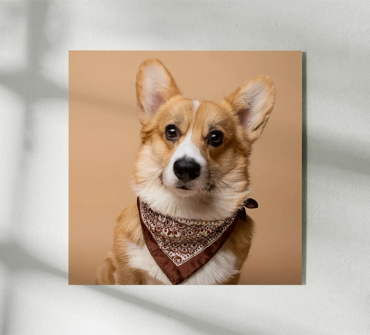 Affascinante Corgi con una bandana alla moda | Adorabile ritratto di cane plexiglass da FlexiDesignsByK