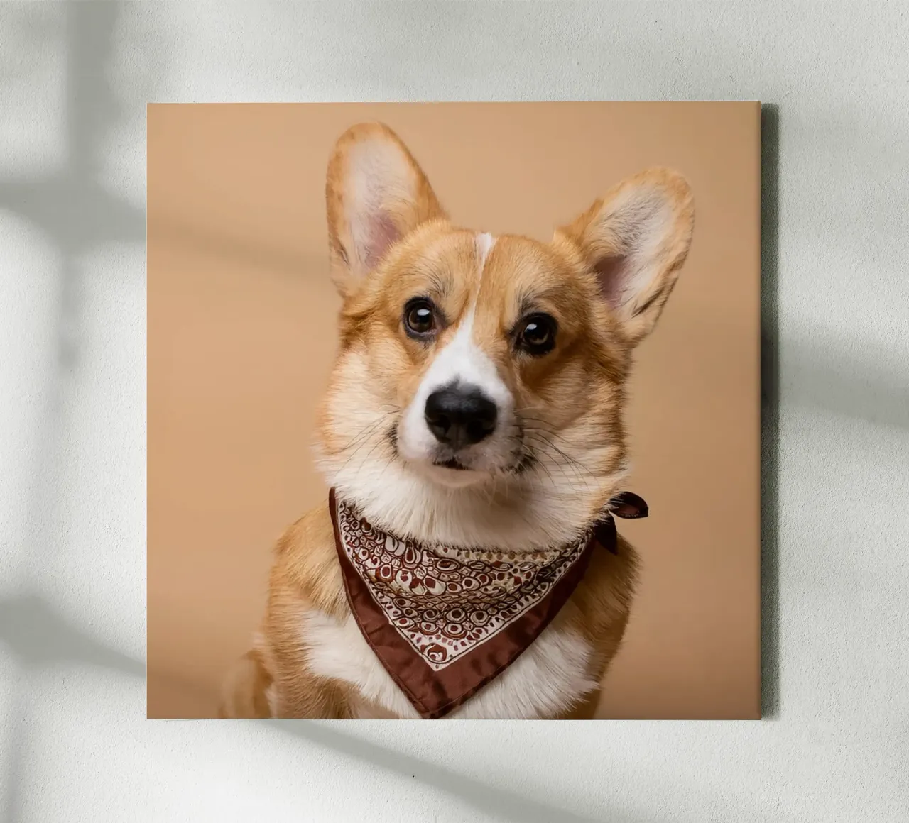 Charmante Corgi in een stijlvolle bandana | Schattig hondenportret canvas van FlexiDesignsByK