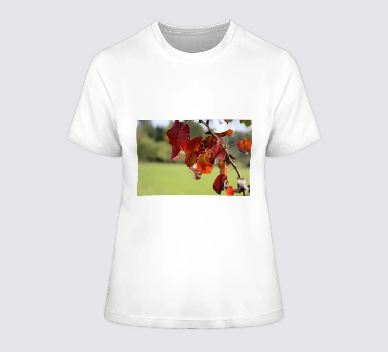 Autumn colours women's fitted t-shirt by Alexandra Joseph Fotomomente