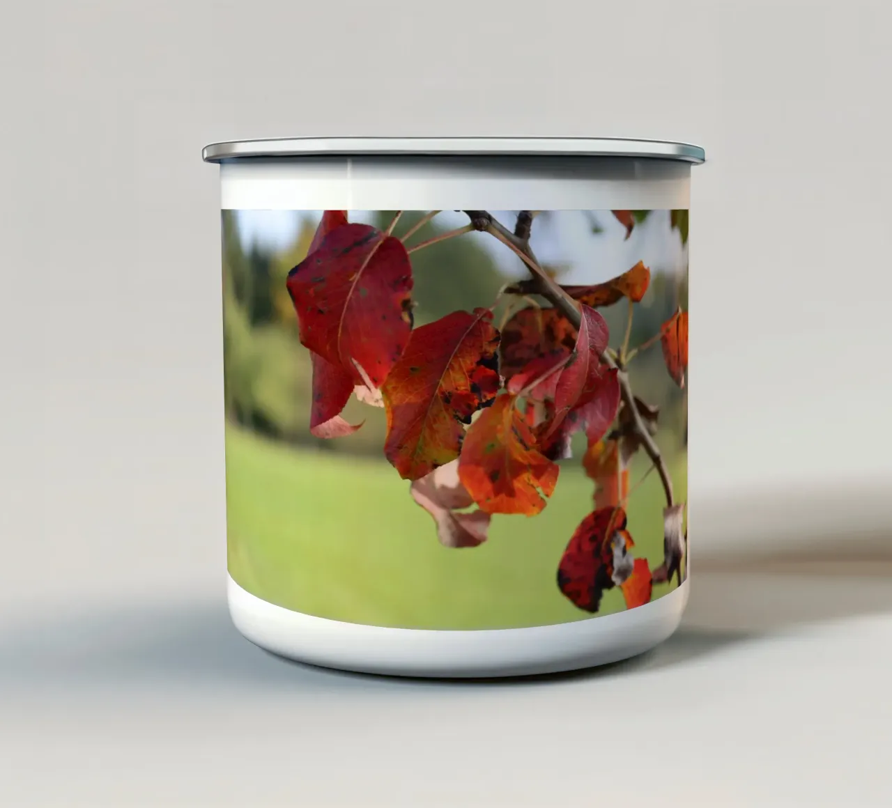 Colori d'autunno tazza in smalto da Alexandra Joseph Fotomomente