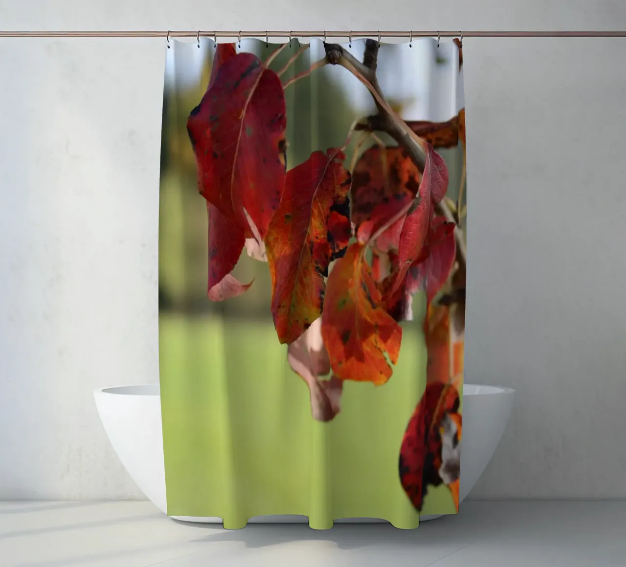 Autumn colours shower curtain by Alexandra Joseph Fotomomente