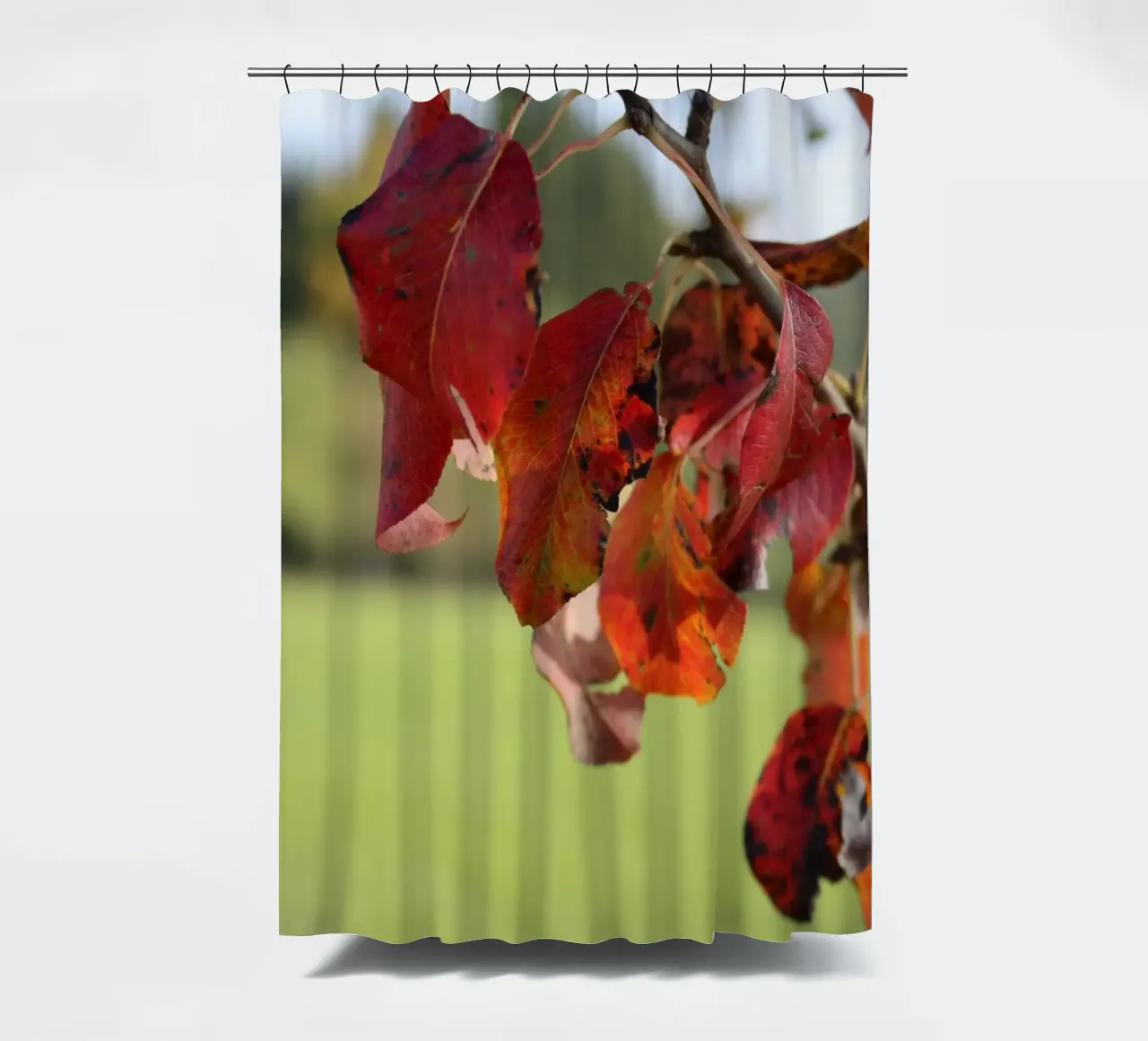 Autumn colours shower curtain by Alexandra Joseph Fotomomente