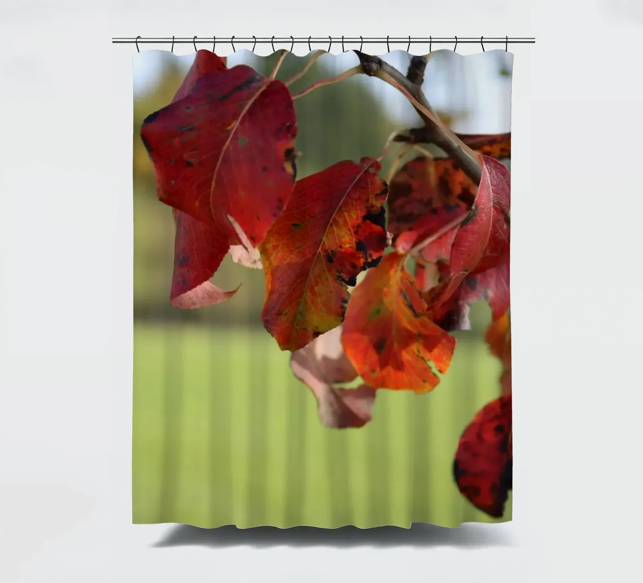 Autumn colours shower curtain by Alexandra Joseph Fotomomente