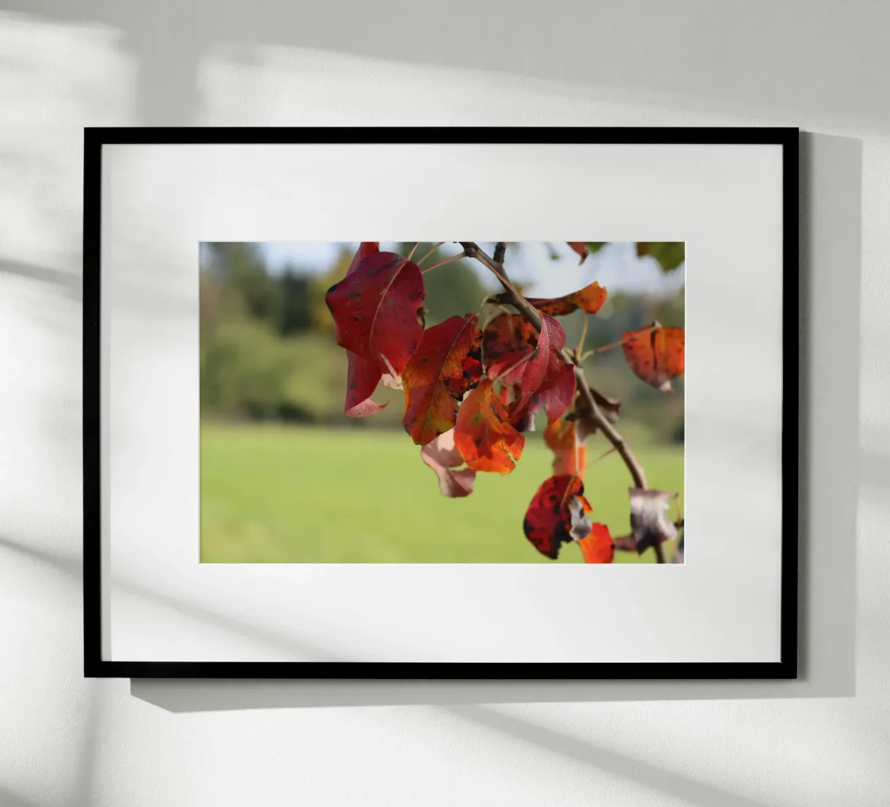 Colori d'autunno poster con telaio in legno da Alexandra Joseph Fotomomente