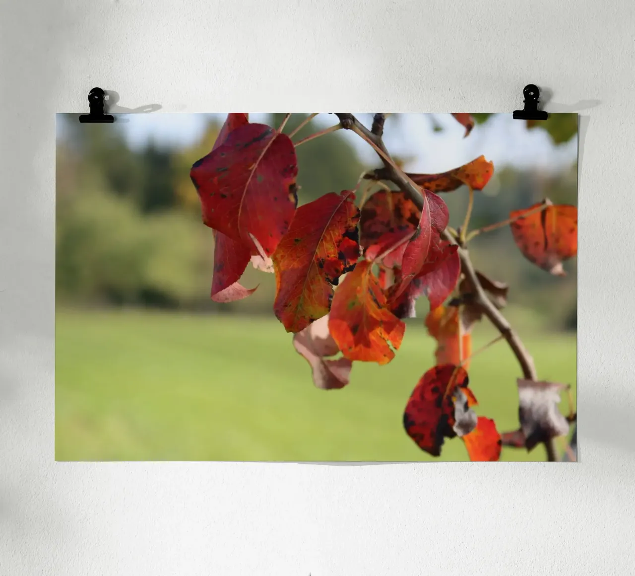 Colori d'autunno poster con telaio in legno da Alexandra Joseph Fotomomente