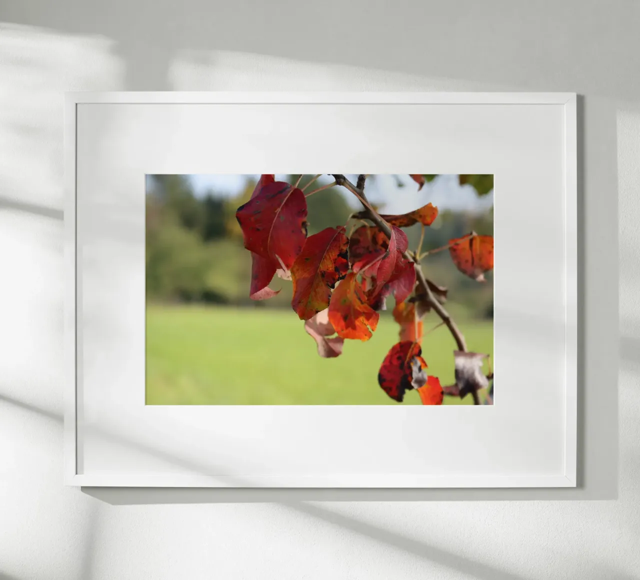 Colori d'autunno poster con telaio in legno da Alexandra Joseph Fotomomente