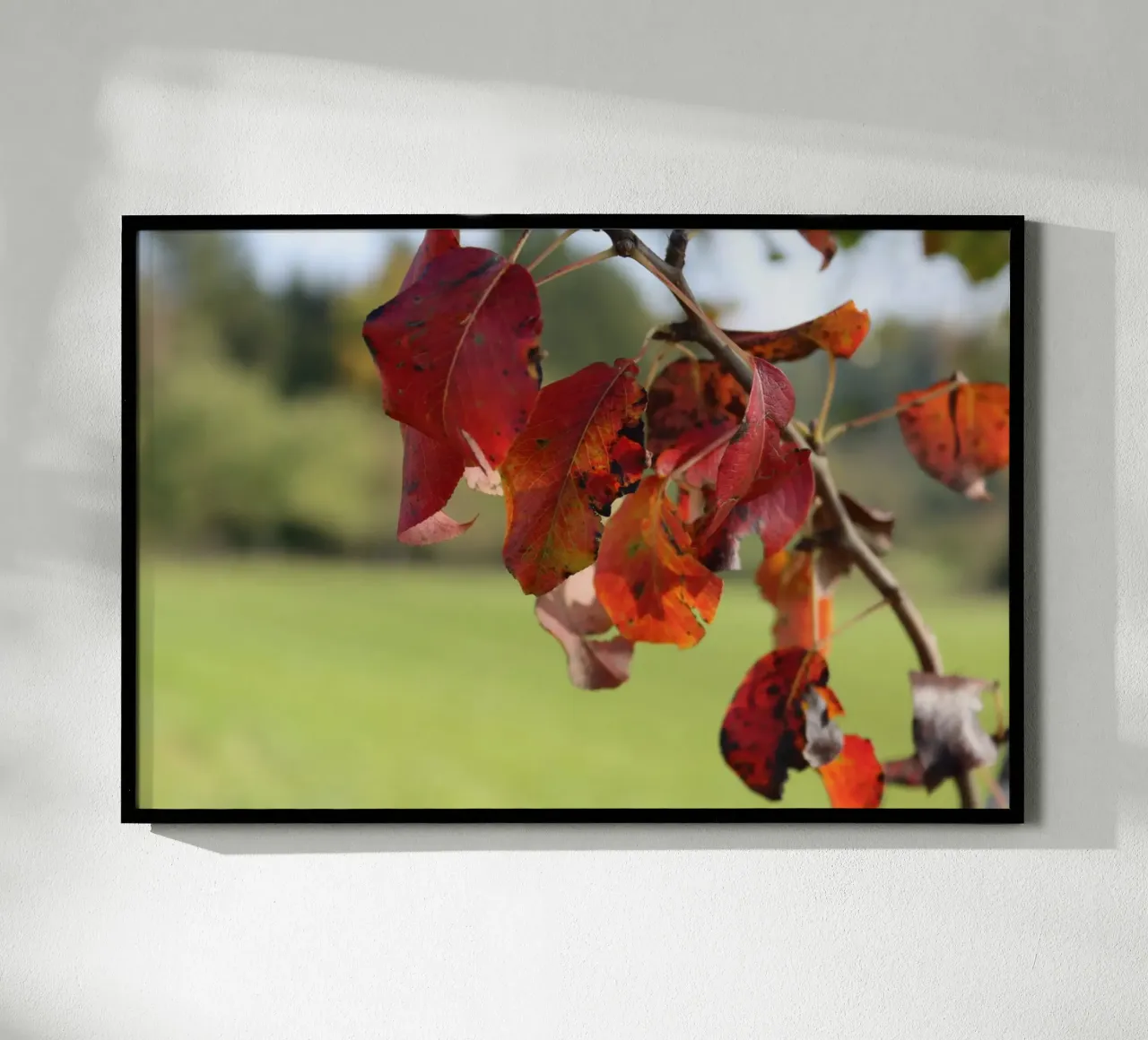 Colori d'autunno poster con telaio in legno da Alexandra Joseph Fotomomente