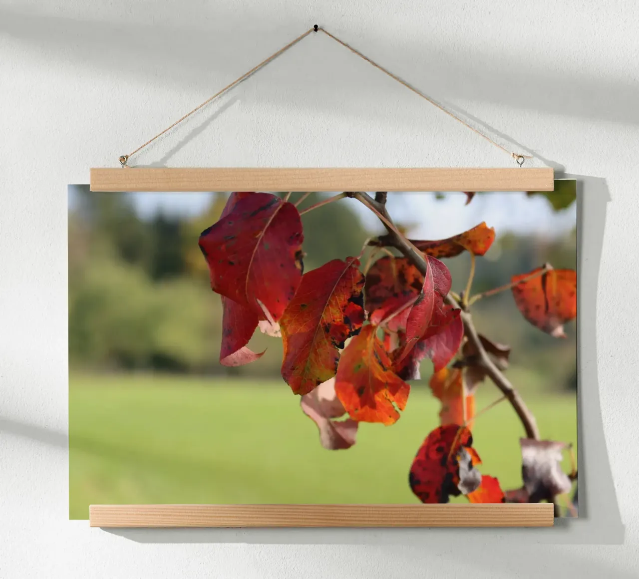 Colori d'autunno poster con telaio in legno da Alexandra Joseph Fotomomente