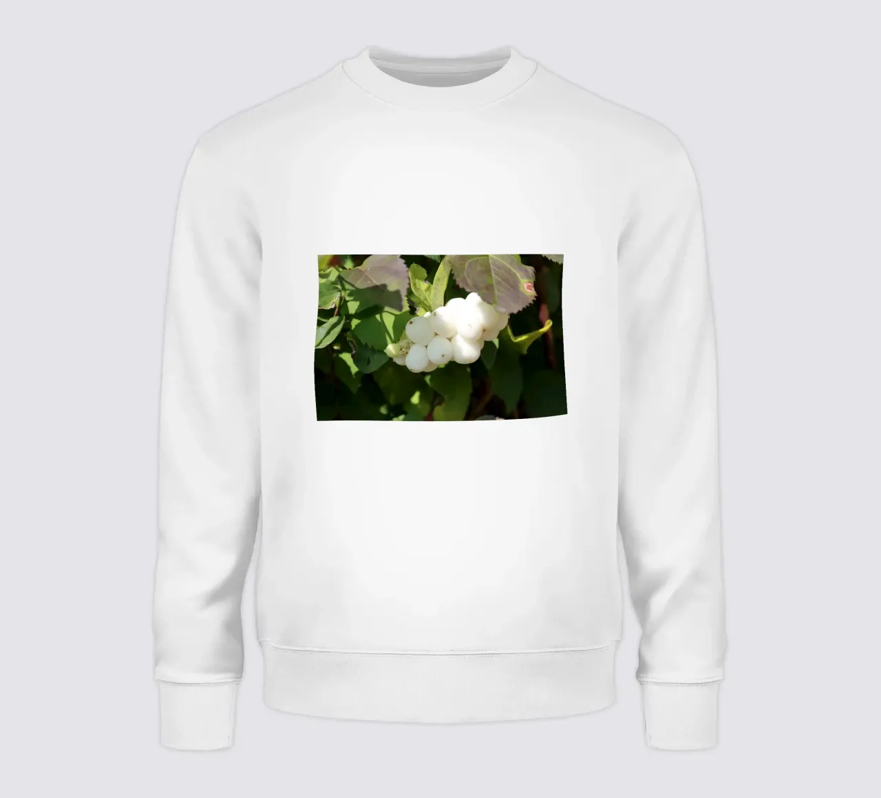 bacche di neve piene felpa da Alexandra Joseph Fotomomente