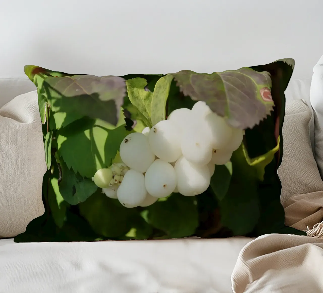 bacche di neve piene cuscino da Alexandra Joseph Fotomomente