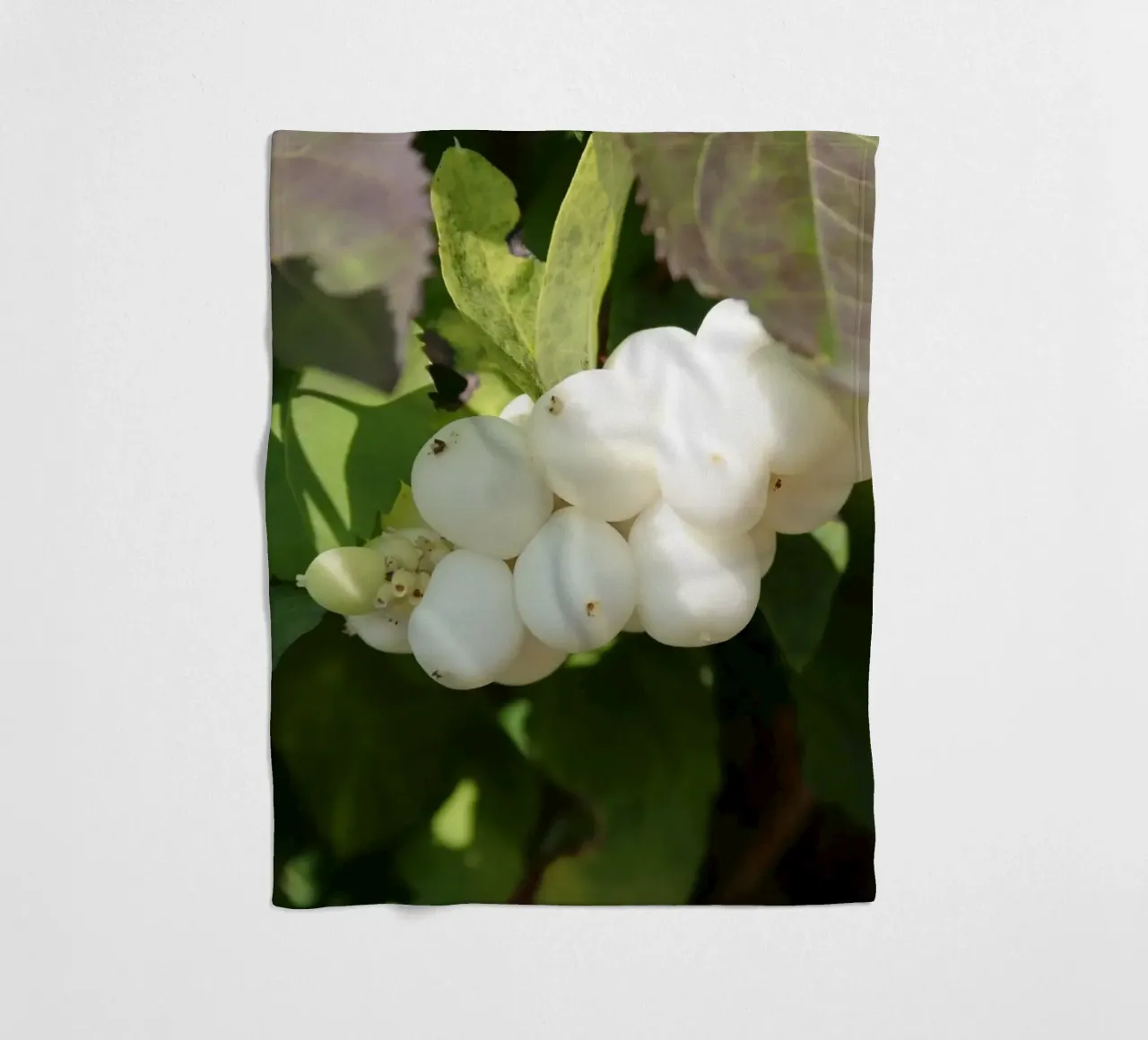 bacche di neve piene coperta in pile da Alexandra Joseph Fotomomente
