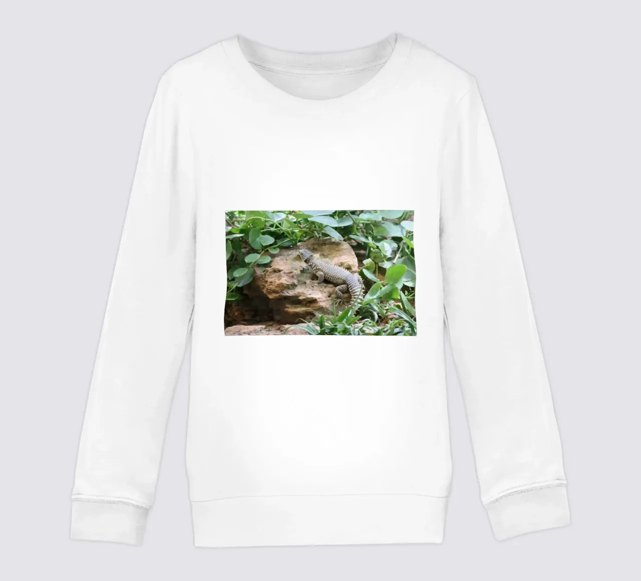 Wildlife kids sweatshirt by Alexandra Joseph Fotomomente