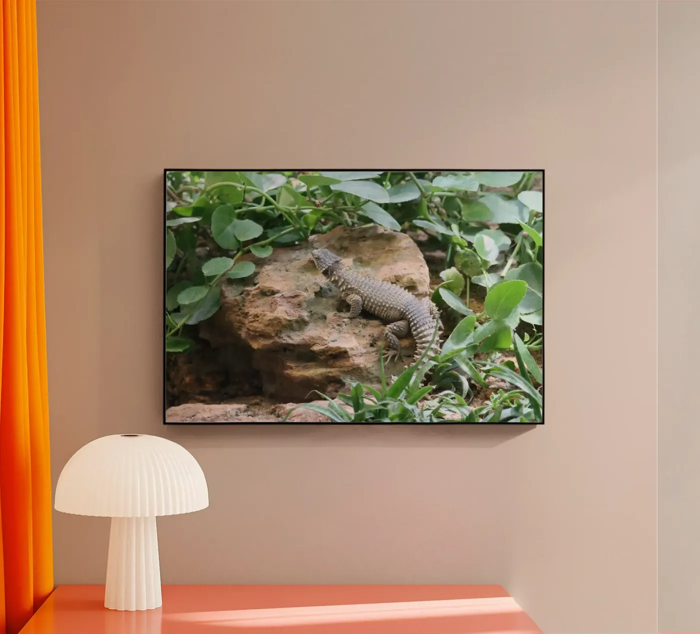 Wildlife Acryl-Glas von Alexandra Joseph Fotomomente