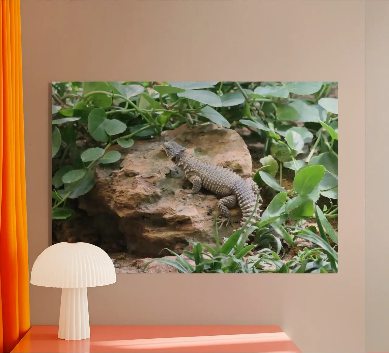 Wildlife plexiglass da Alexandra Joseph Fotomomente