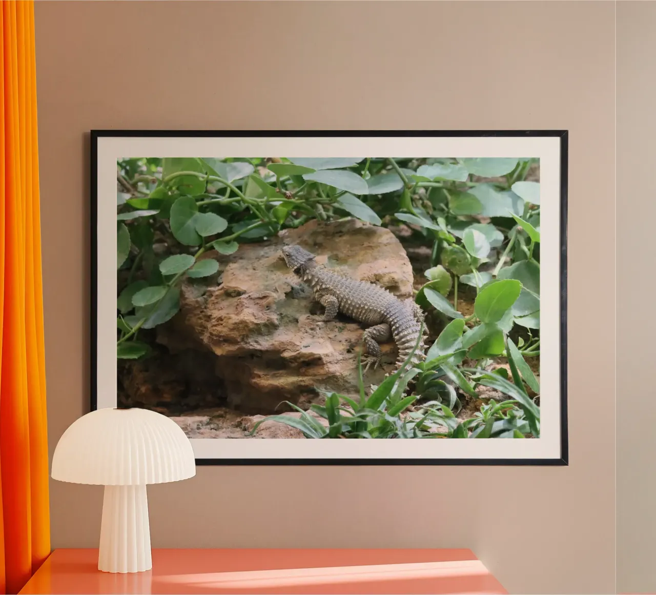 Wildlife poster da Alexandra Joseph Fotomomente