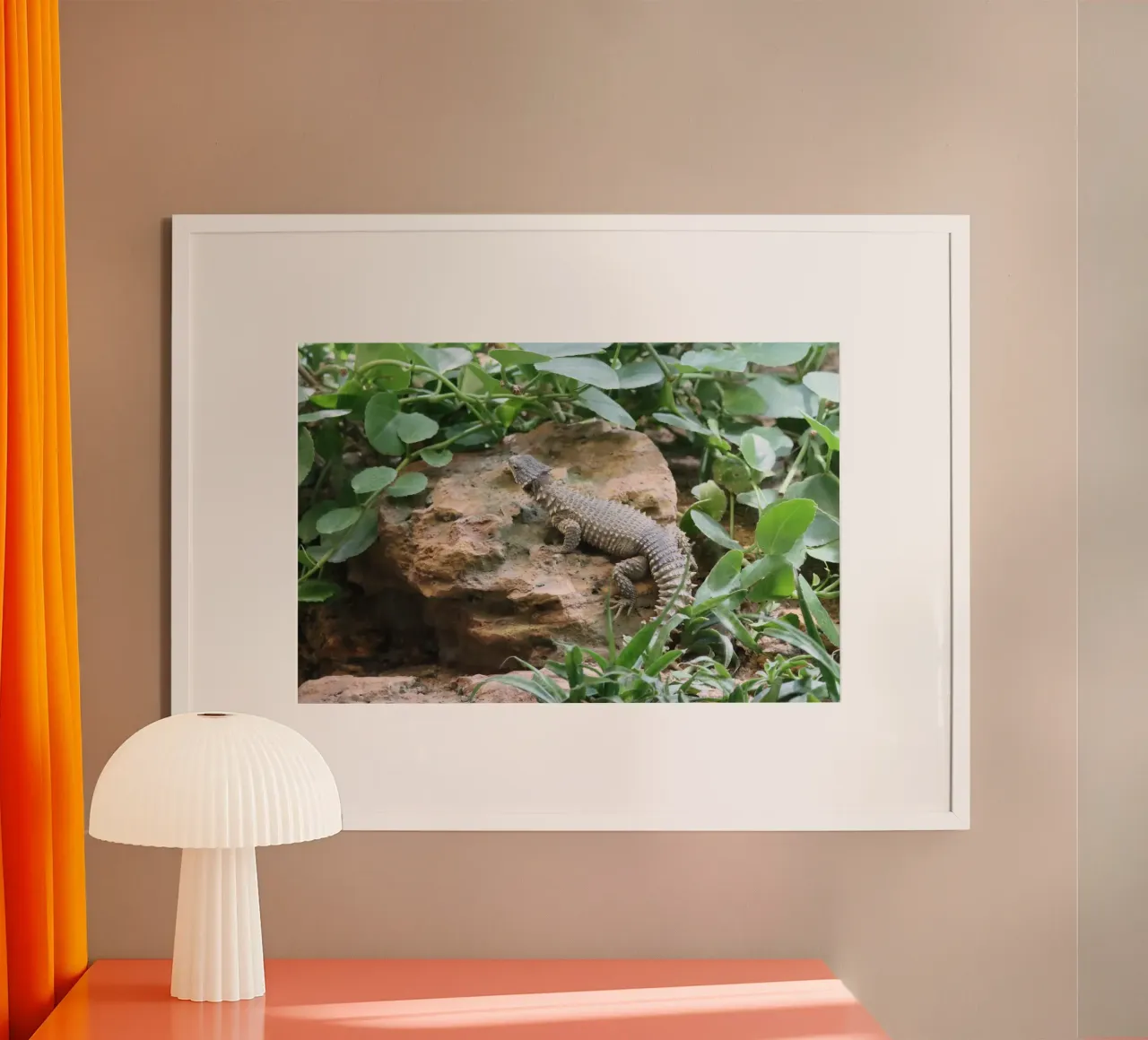 Wildlife poster da Alexandra Joseph Fotomomente