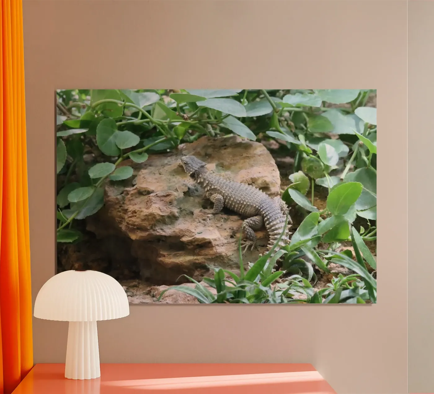 Wildlife poster da Alexandra Joseph Fotomomente