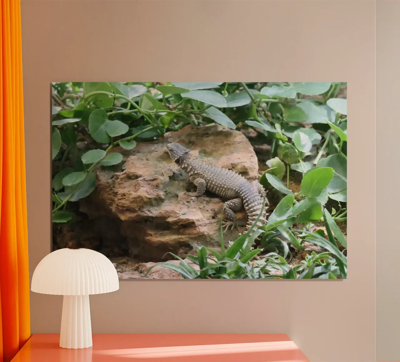 Wildlife poster da Alexandra Joseph Fotomomente