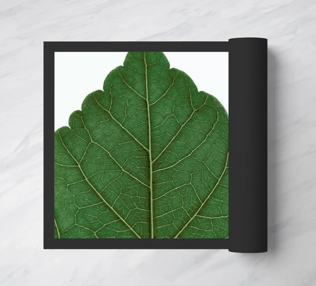 And Closer... zerbino da Studio Nahili