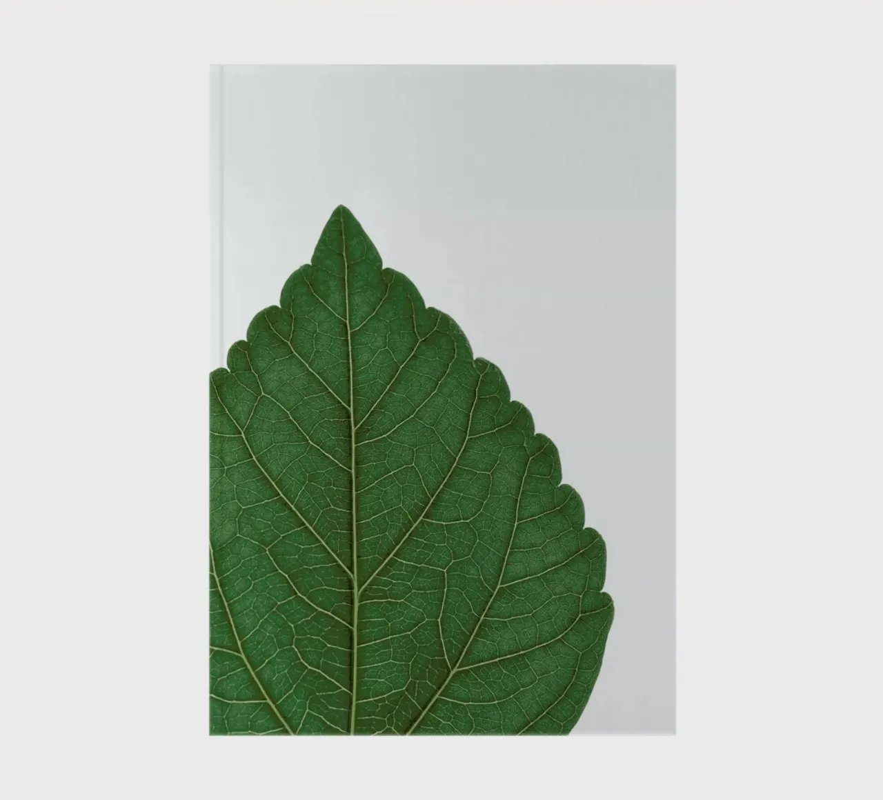 And Closer... notebook by Studio Nahili