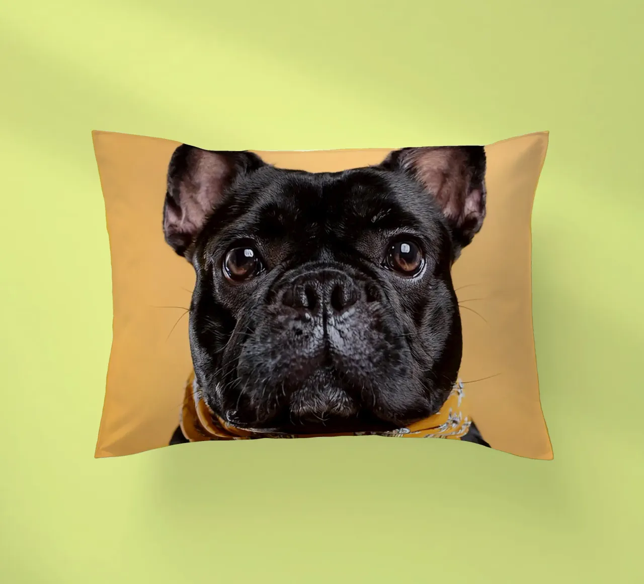 Chien d'arrêt à la mode dans un bandana jaune | Art canin moderne coussin de FlexiDesignsByK