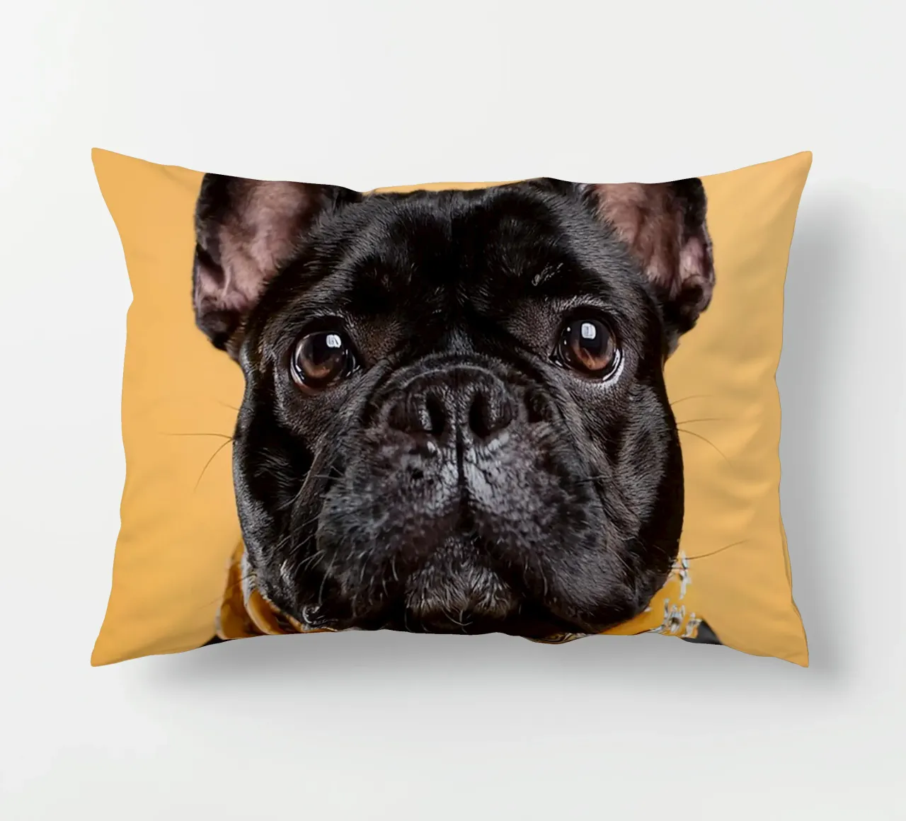 Chien d'arrêt à la mode dans un bandana jaune | Art canin moderne coussin de FlexiDesignsByK