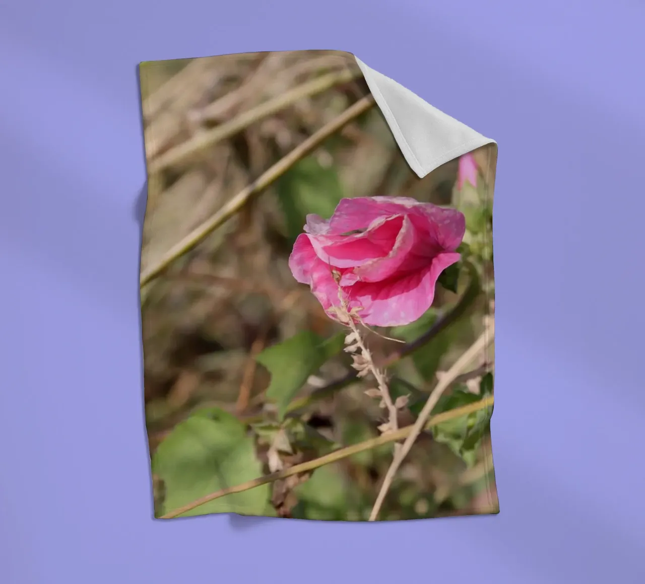 Memories of late summer fleece blanket by Alexandra Joseph Fotomomente