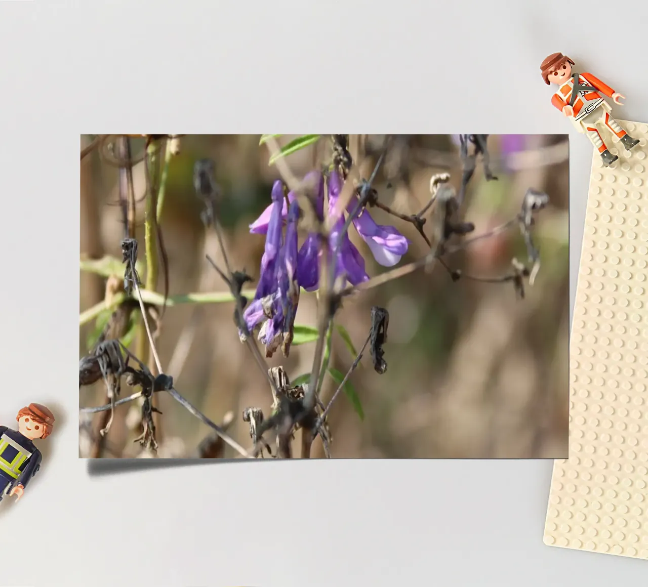 Natural colours sticker sheet by Alexandra Joseph Fotomomente