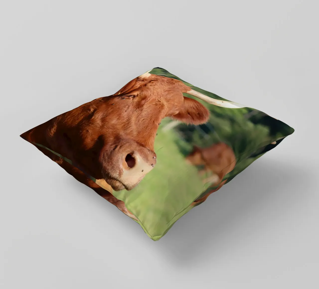 Modello di punta animale cuscino da Alexandra Joseph Fotomomente