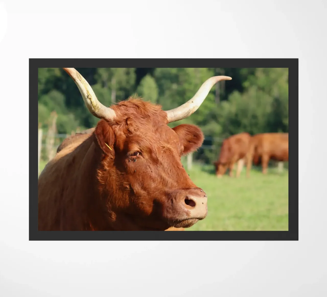 Tierisches Topmodel Fußmatte von Alexandra Joseph Fotomomente