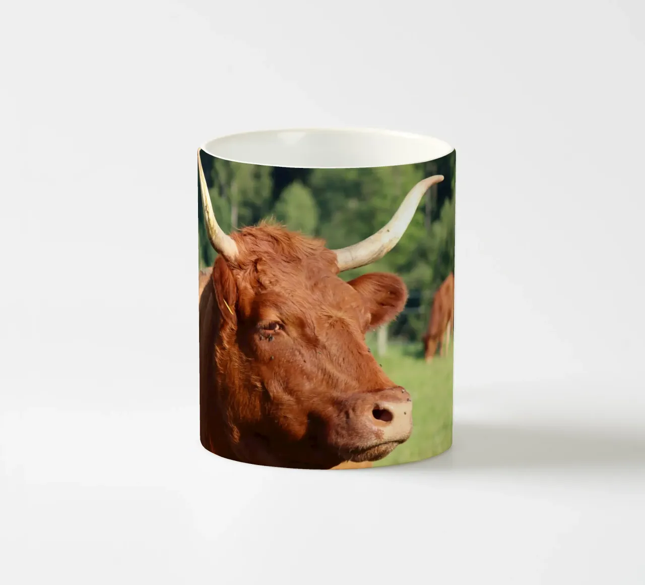 Modello di punta animale tazza in ceramica da Alexandra Joseph Fotomomente